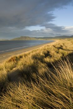 Overcast day at the seashore as a storm comes in with a view from beyond tall grasses