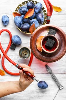 Still life with smoking hookah and the harvest of autumn plums