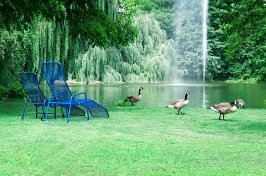 park with a picturesque lake and recreation areas