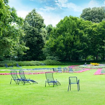 Lounge chairs for relaxing in the summer park