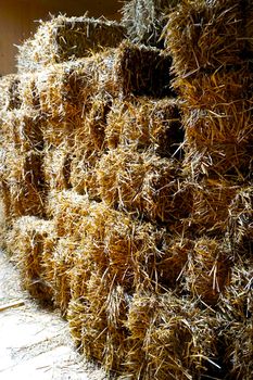 Straw bales stack vertical in the farm house
