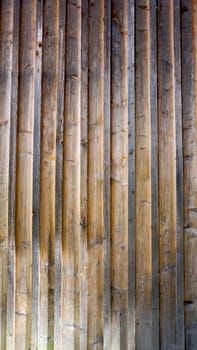 wood panel texture vertical