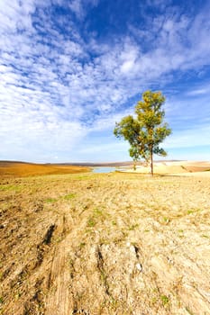 Spanish Landscape with Pond in the Autumn