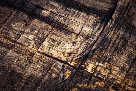 abstract background or texture detail rotten old spruce boards