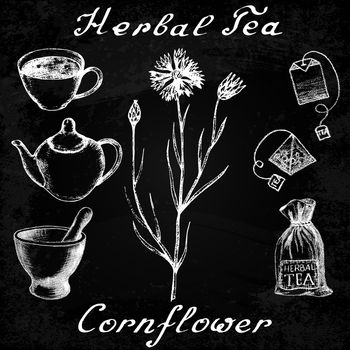 Cornflower hand drawn sketch botanical illustration. Utensils for tea. Vector illustation. Medical herbs. Effect of chalk board. Grunge background