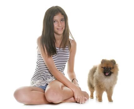 young pomeranian dog and teen in front of white background