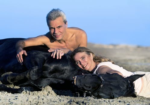 lovers and their black stallion lying down on the beach

