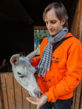 a young handsome man feeding a lama