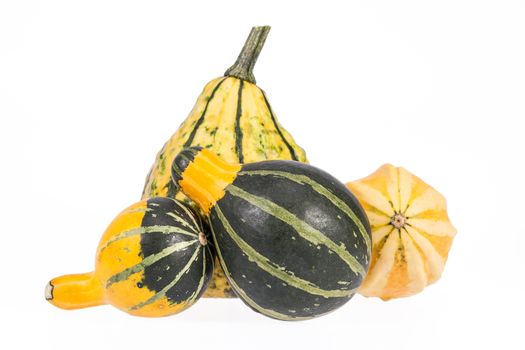 Vegetables of pumpkin decorative isolated on white background