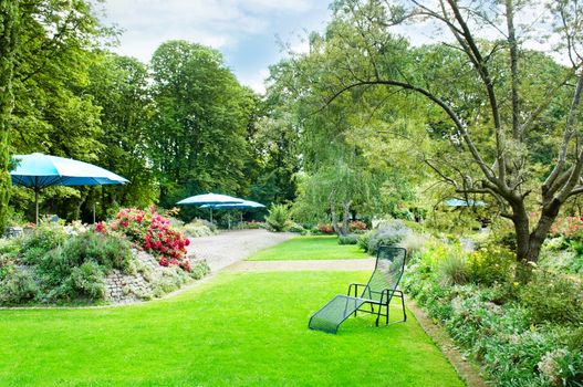 beautiful summer park with green lawns and flower beds