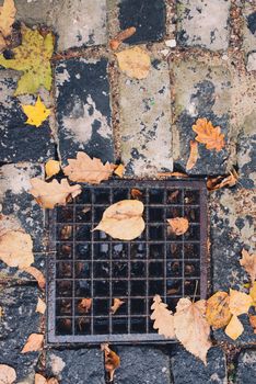 drain gate cast grill filled with autumn leaves and water. Fall seasonal background.