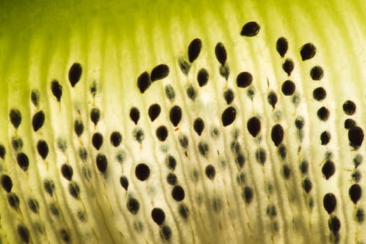 Kiwi fruit sliced flesh macro closeup on bright light background.