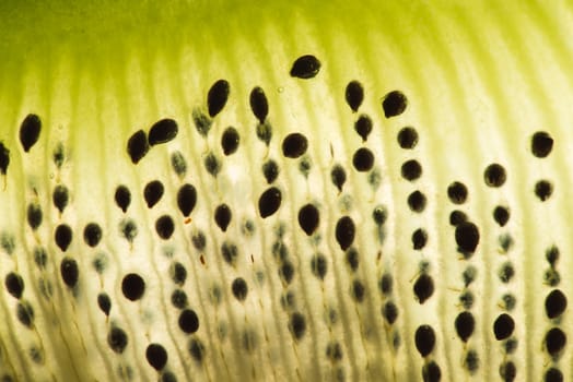 Kiwi fruit sliced flesh macro closeup on bright light background.