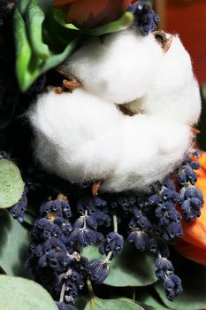 Bouquet of tulips, eucalyptus, lavender and cotton