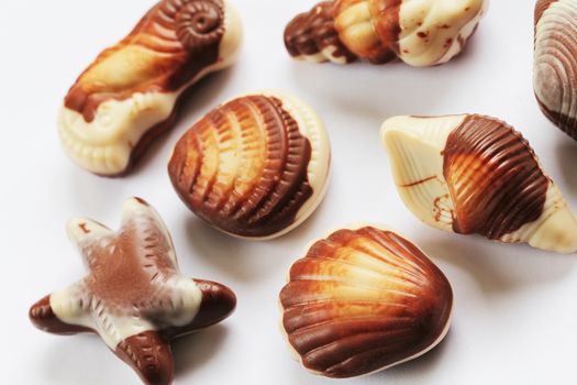 Chocolate seashells food backround isolated on white