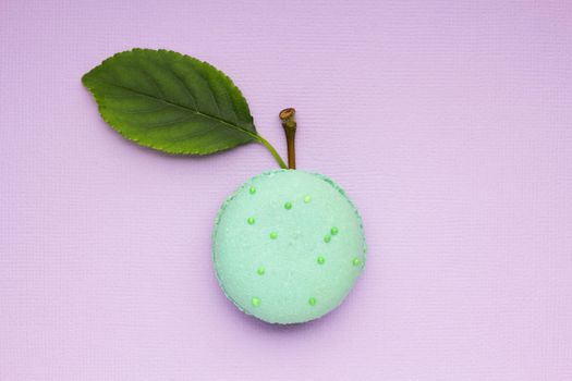 Creative concept photo of a macaroon with apple leaf and twig on purple background.