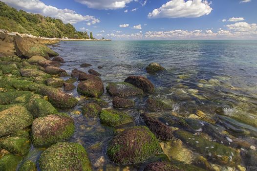 Beautiful day view of stones with algae