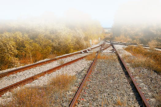 Railway Line Disappearing Into The Fog