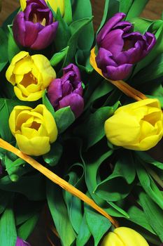 Wonderful tulip bouquet bright closeup macro photo