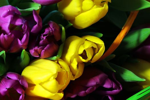 Wonderful tulip bouquet bright closeup macro photo