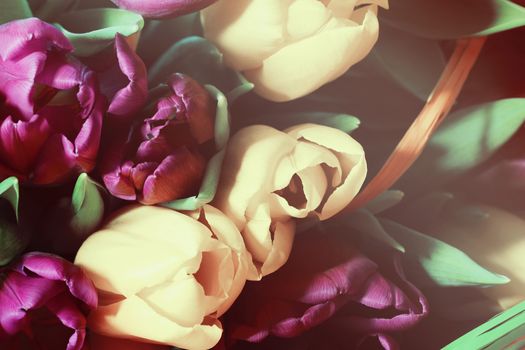 Tulips in vintage style closeup beutiful photo