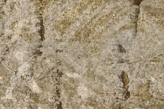 Close up photo of old rusty galvanized iron sheet texture.