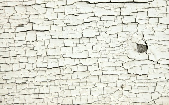 Cracked white paint texture on old wood. Could be used a background or as texture.