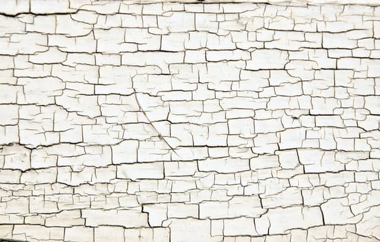 Cracked white paint texture on old wood. Could be used a background or as texture.