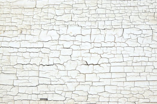 Cracked white paint texture on old wood. Could be used a background or as texture.