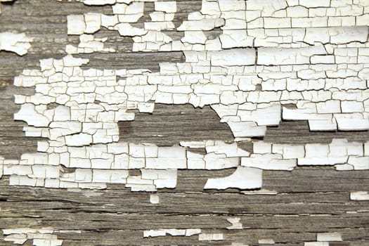 Cracked white paint texture on old wood. Could be used a background or as texture.