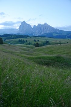 Italy Dolomite mountain called Alpe di Siusi