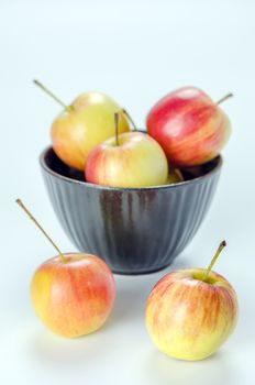 Red and yellow apple with black bowl , organic fresh fruit