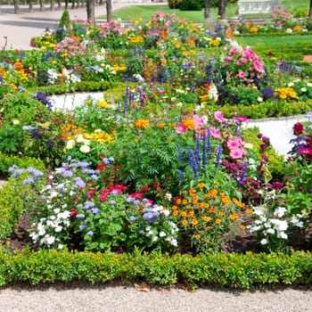 delightful flower bed in the summer park