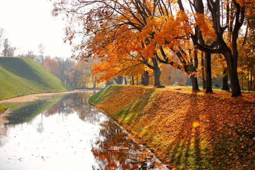 Autumn October colorful park. Foliage trees alley in park