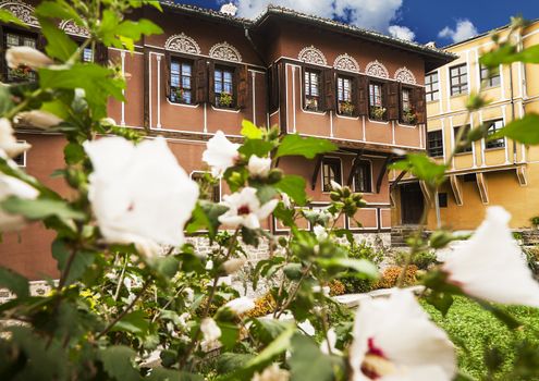 View of couple old houses, cultural heritage in town Plovdiv, Bulgaria with blooming flowers foreground.