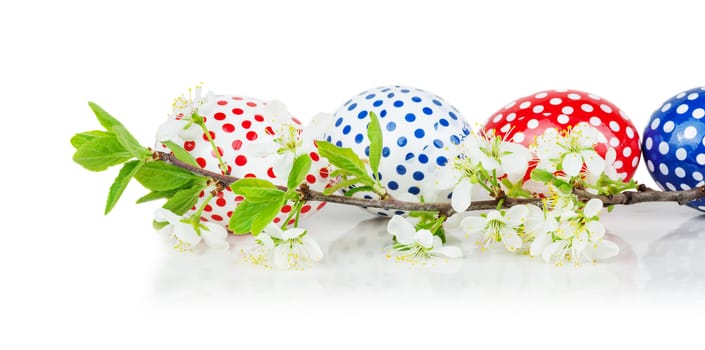 Several colored Easter eggs with polka dots and a branch of cherry blossoms isolated on white background