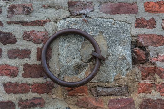 Iron ring on a wall, used earlier fasten the horses.