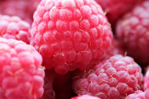 Raspberries tasty food background close up macro photo