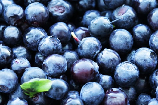 Blueberry food background close up macro photo