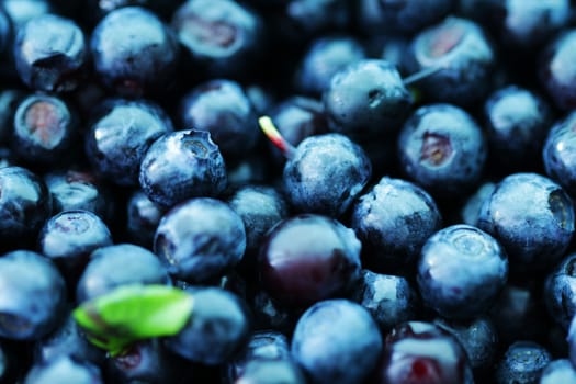 Blueberry food background close up macro photo