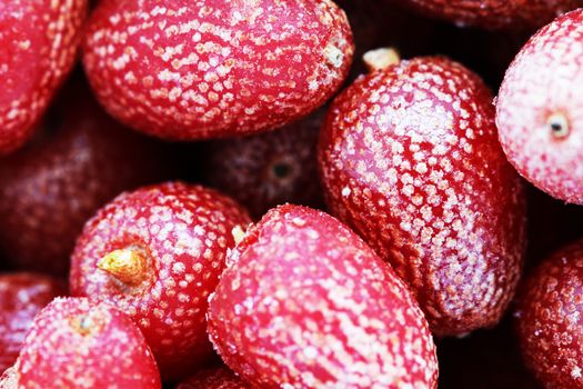 Goji berries frozen background close up macro phoro