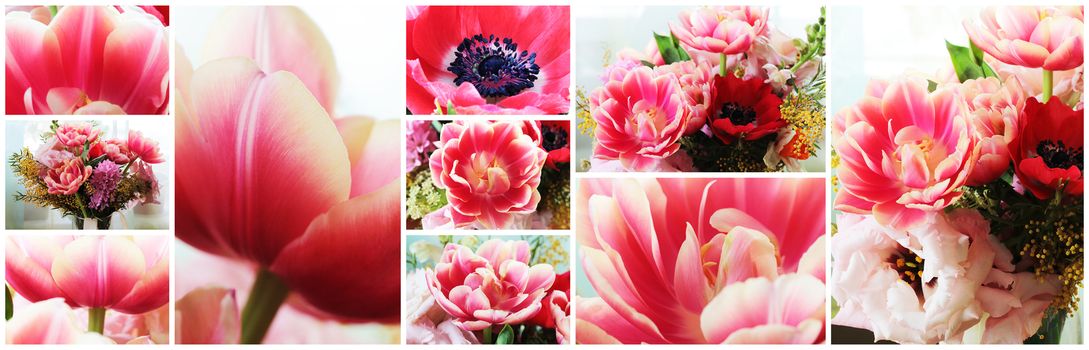 Beautiful close up macro photo of tulip collage