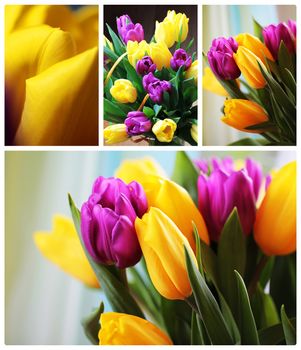 Wonderful tulip bouquet bright closeup macro photo