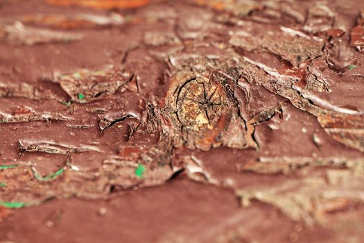 Abstract wooden background close up macro grunge style photo