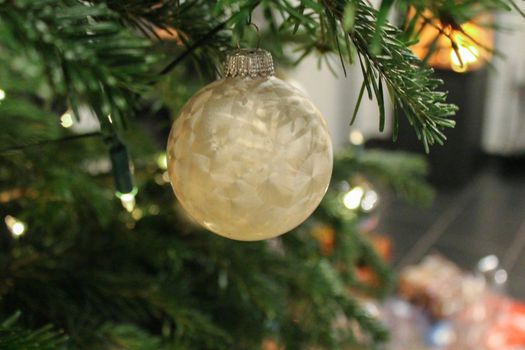 Christmas ball are hanging on Christmas pine tree.
