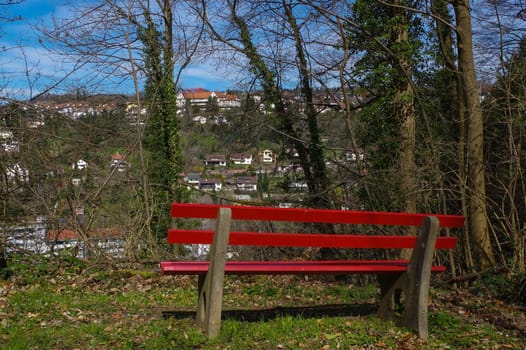 a wooden green park bench under trees in the forest