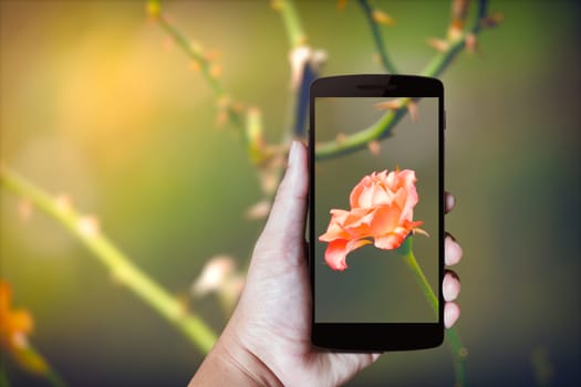 Modern mobile phone in the hand,on blur background image 