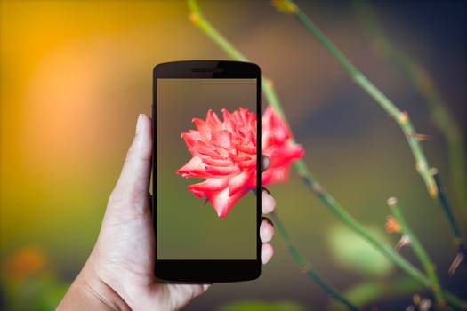 Modern mobile phone in the hand,on blur background image 