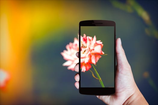 Modern mobile phone in the hand,on blur background image 