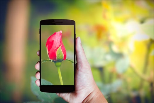 Modern mobile phone in the hand,on blur background image 